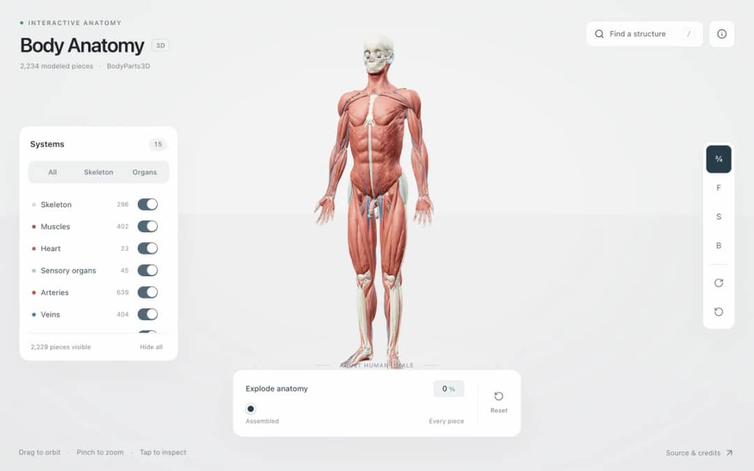 Prévia de Body Anatomy