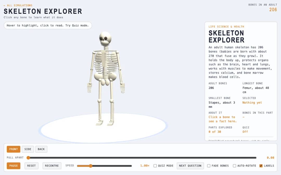 پیش‌نمایش Skeleton Explorer