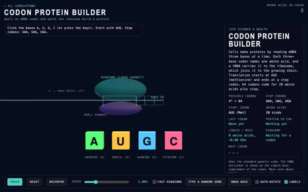 پیش‌نمایش Codon Protein Builder