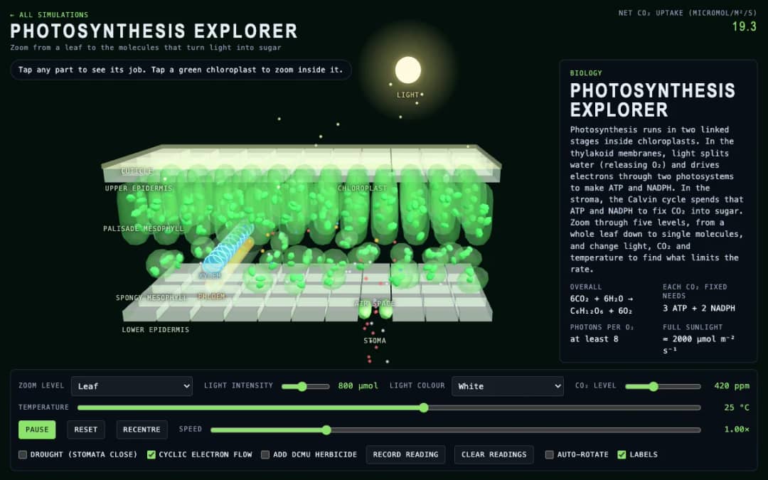 پیش‌نمایش Photosynthesis Explorer
