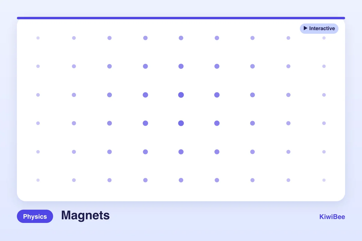 Preview of Magnets Interactive Simulation