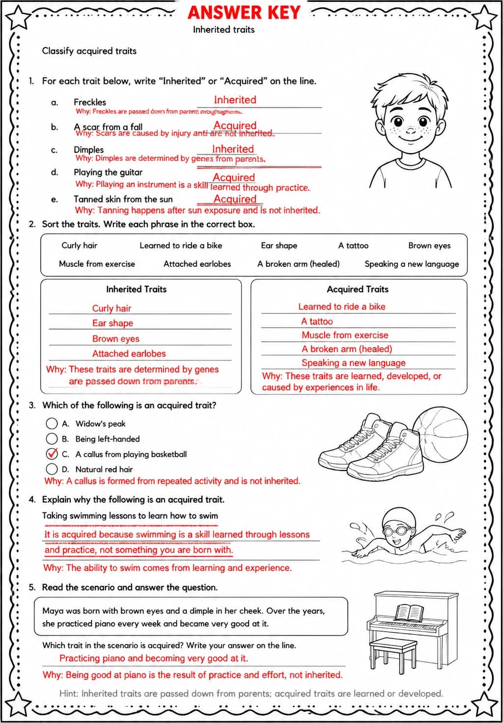 Answer key for Classify acquired traits — free printable Science worksheet