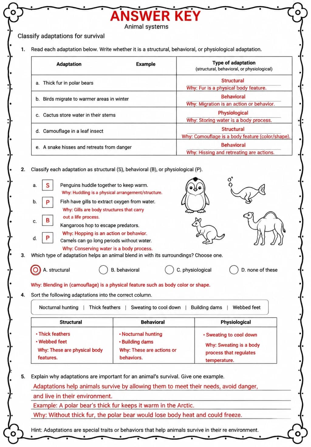 Answer key for Classify adaptations for survival — free printable Science worksheet