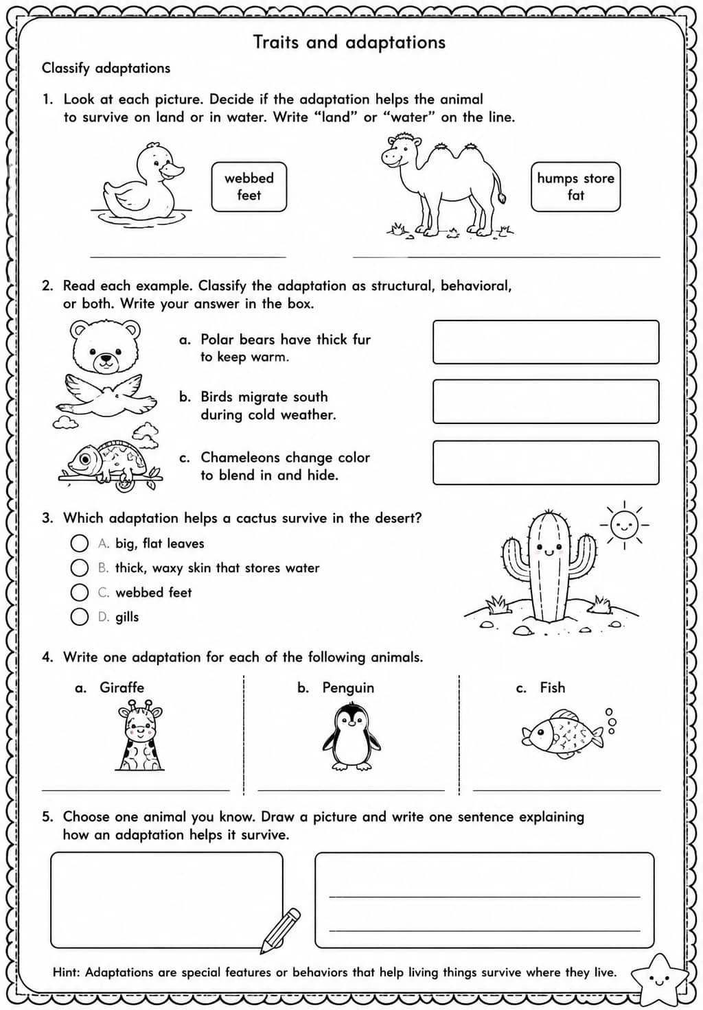 Classify adaptations — free printable Grade 3 Science worksheet