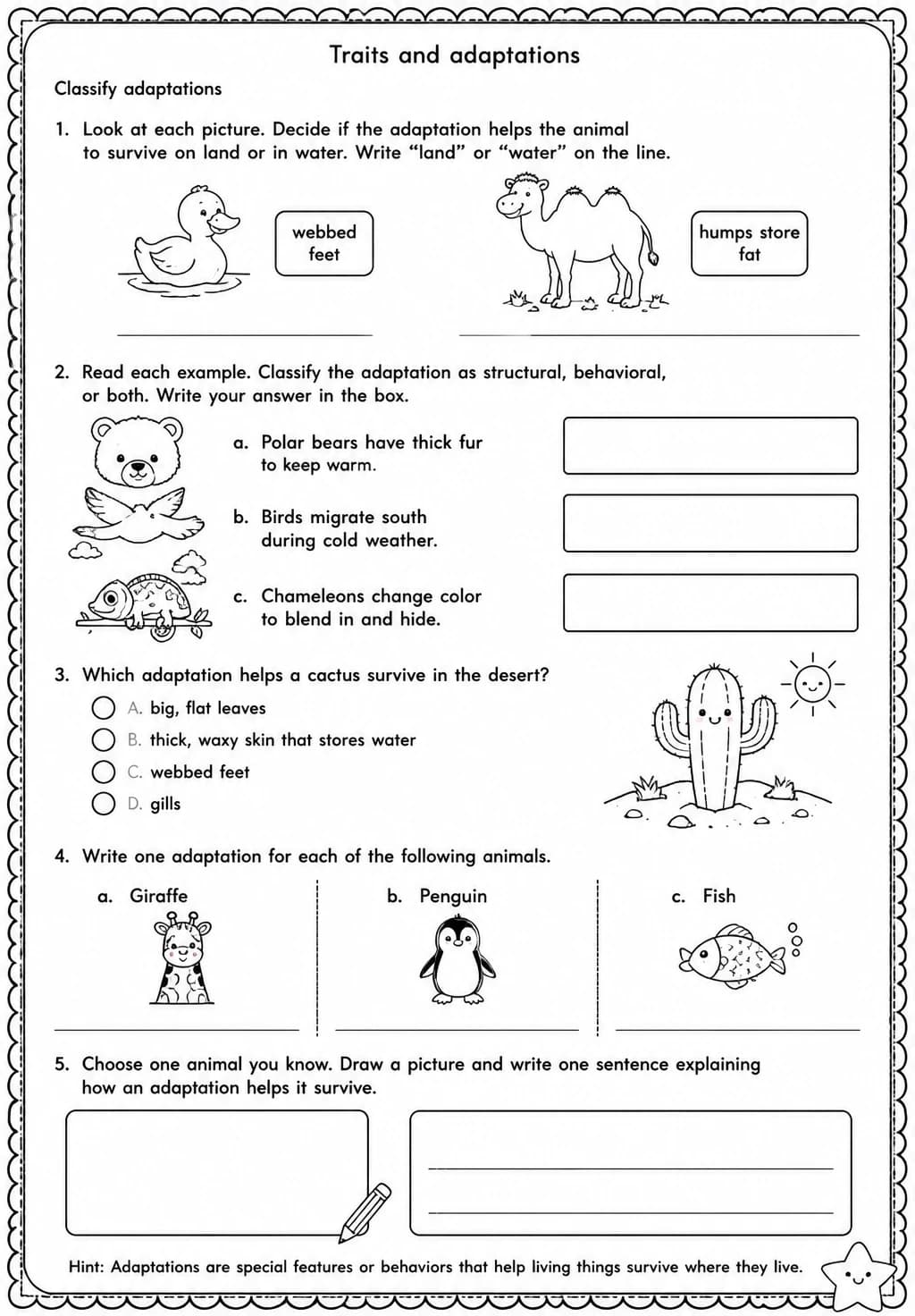 Classify adaptations — free printable Grade 3 Science worksheet