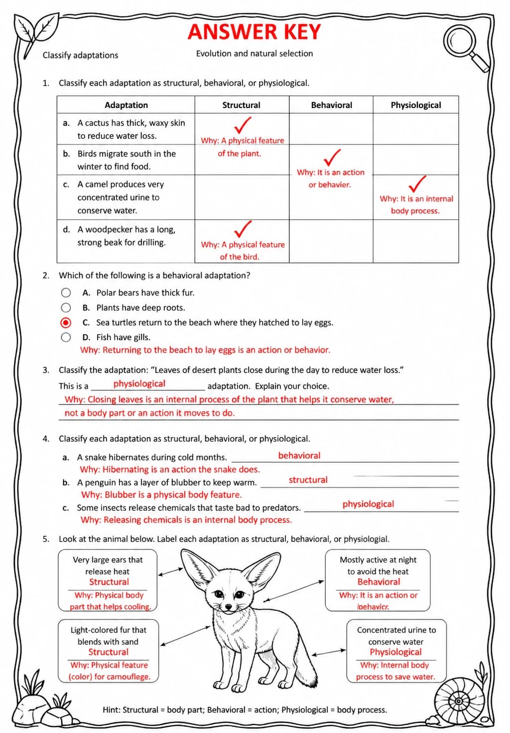 Answer key for Classify adaptations — free printable Science worksheet