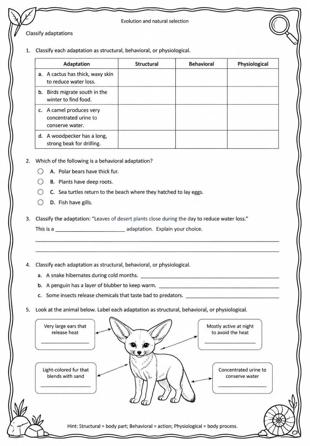 Classify adaptations — free printable Middle School Science worksheet