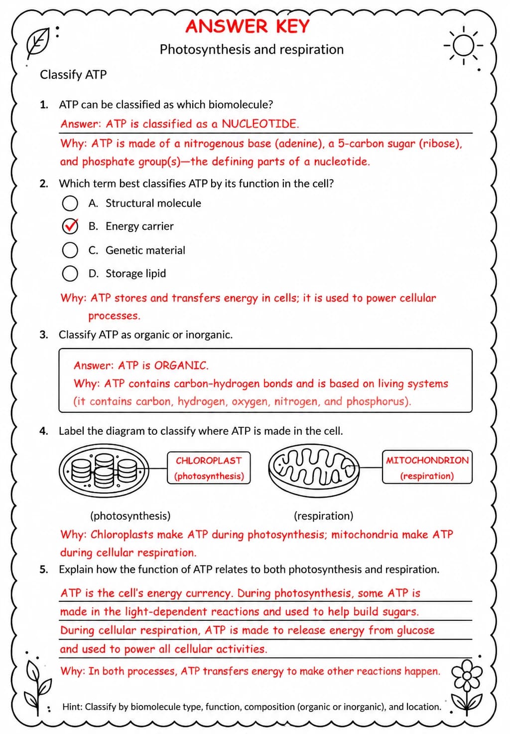 Answer key for Classify ATP — free printable Science worksheet