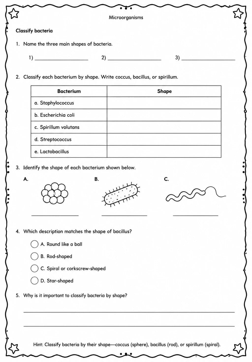 Classify bacteria — free printable Middle School Science worksheet