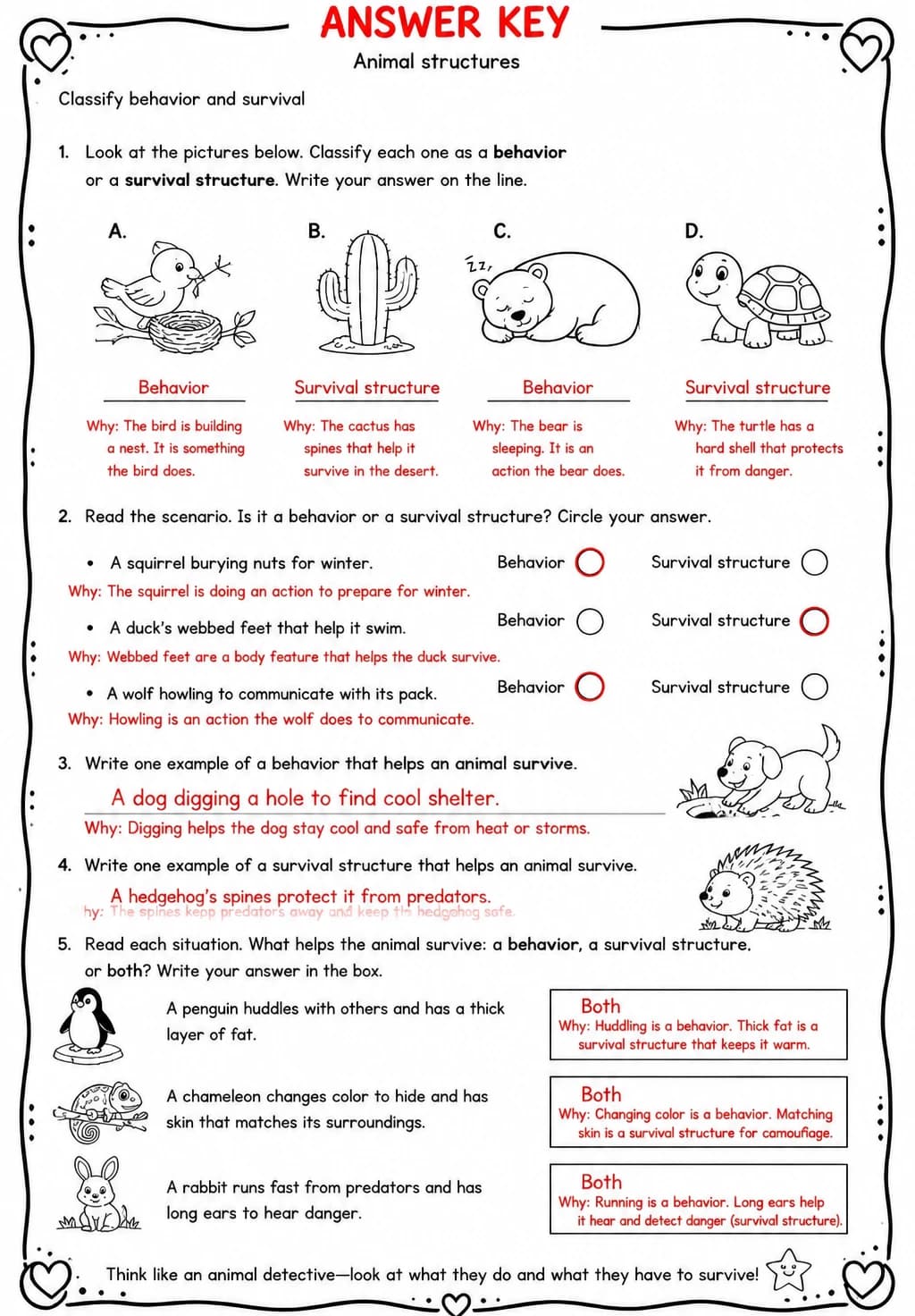 Answer key for Classify behavior and survival — free printable Science worksheet