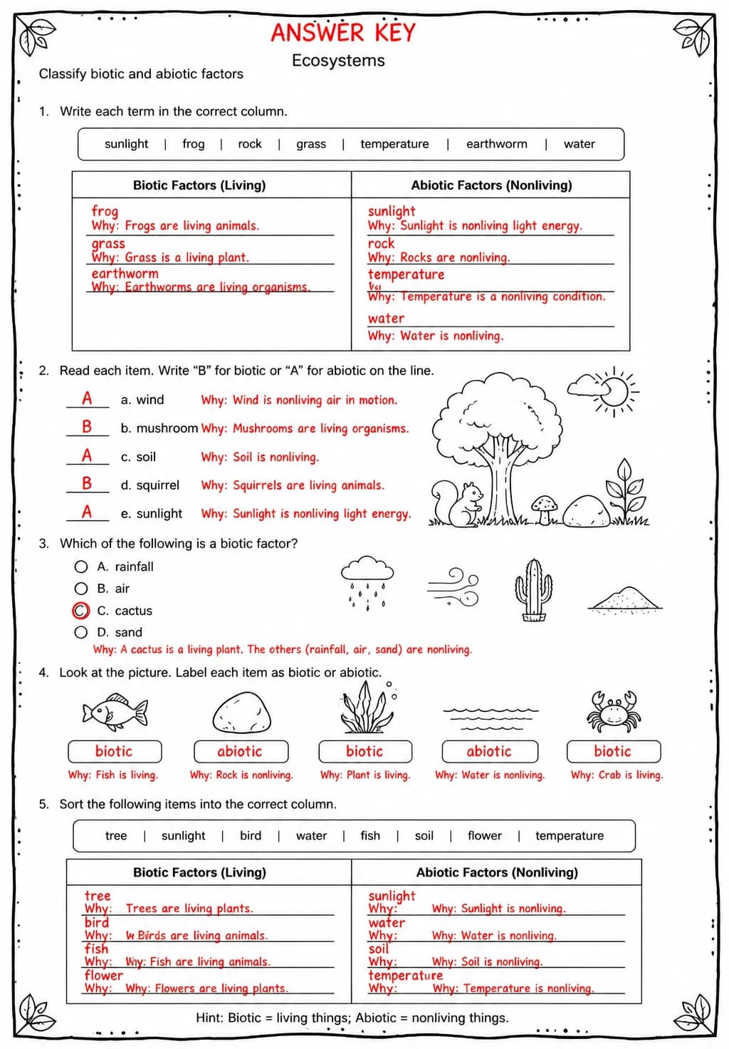 Answer key for Classify biotic and abiotic factors — free printable Science worksheet