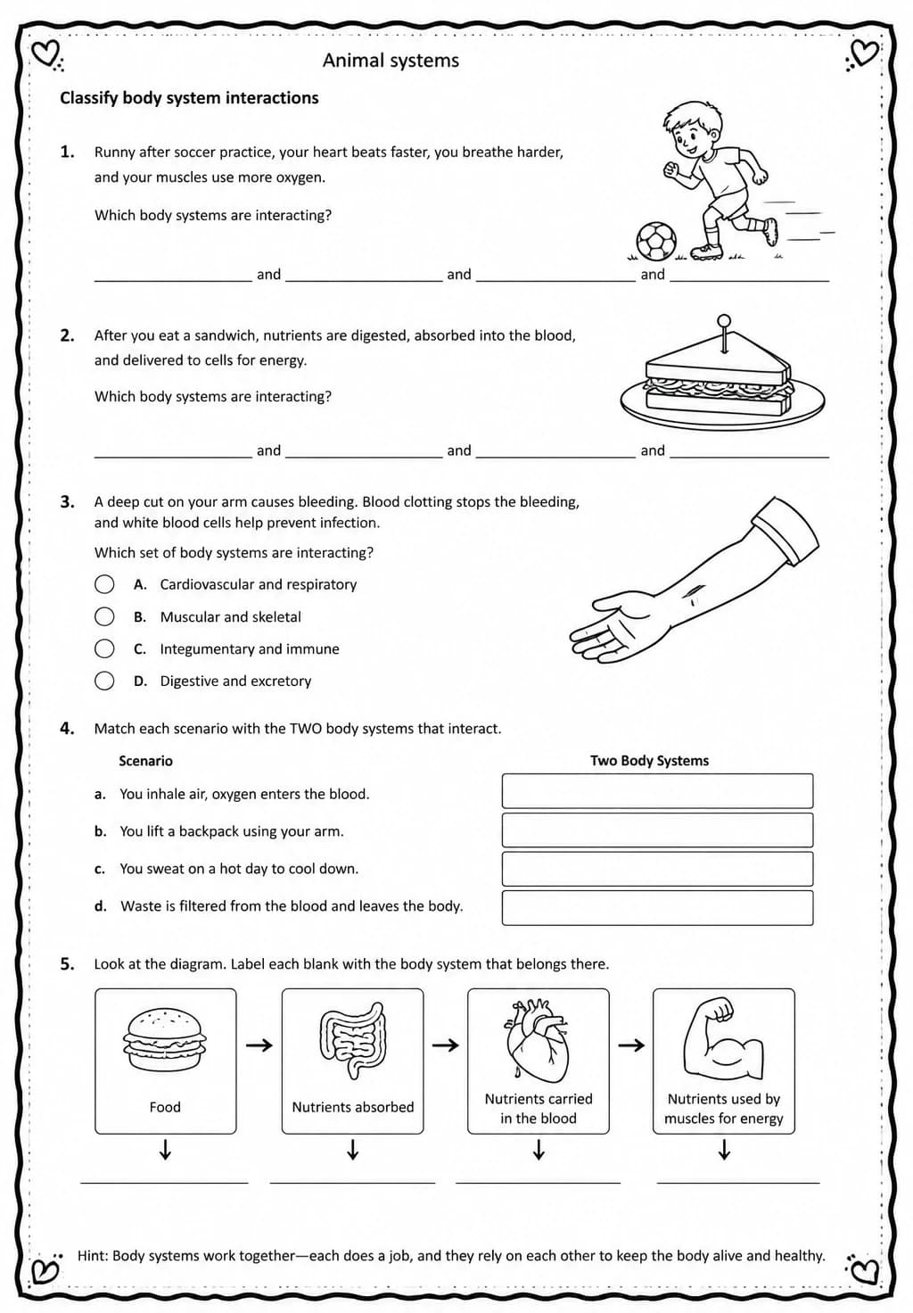 Classify body system interactions — free printable Middle School Science worksheet