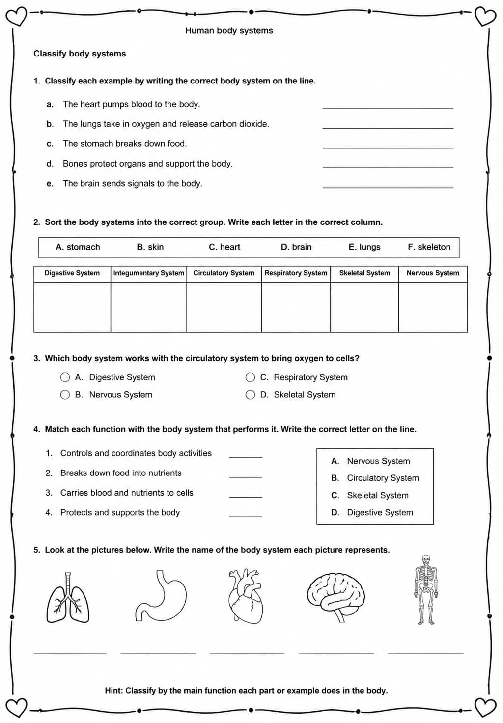 Classify body systems — free printable Middle School Science worksheet