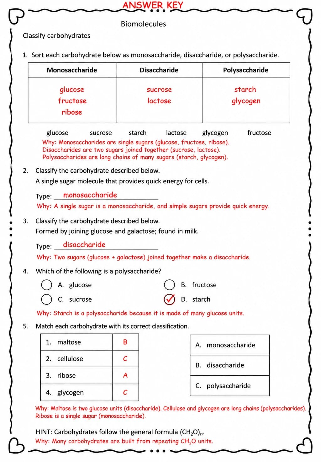 Answer key for Classify carbohydrates — free printable Science worksheet