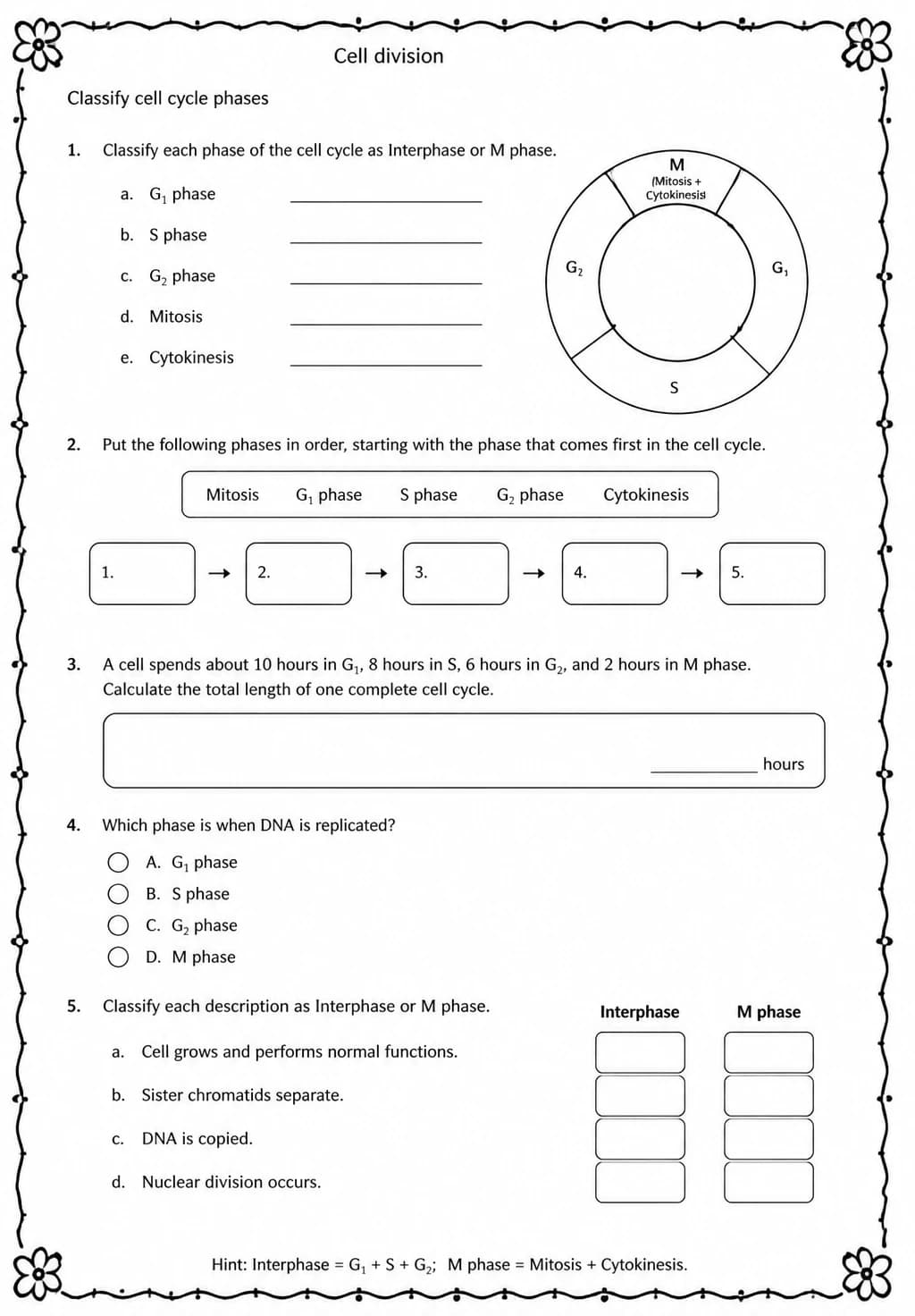 Classify cell cycle phases — free printable High School Science worksheet