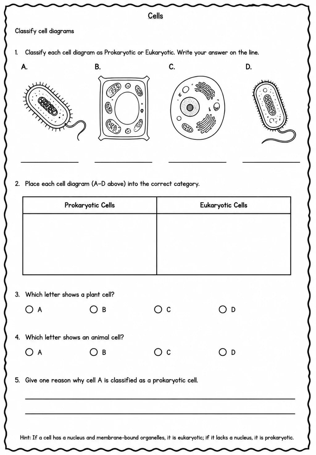 Classify cell diagrams — free printable Middle School Science worksheet