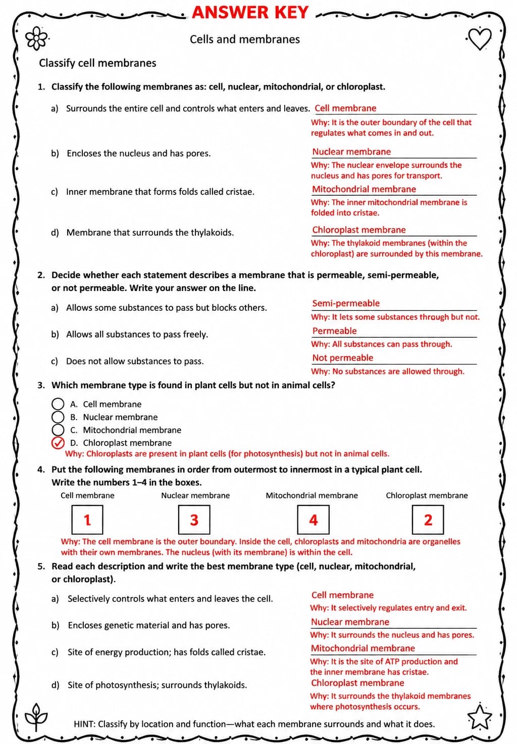Answer key for Classify cell membranes — free printable Science worksheet