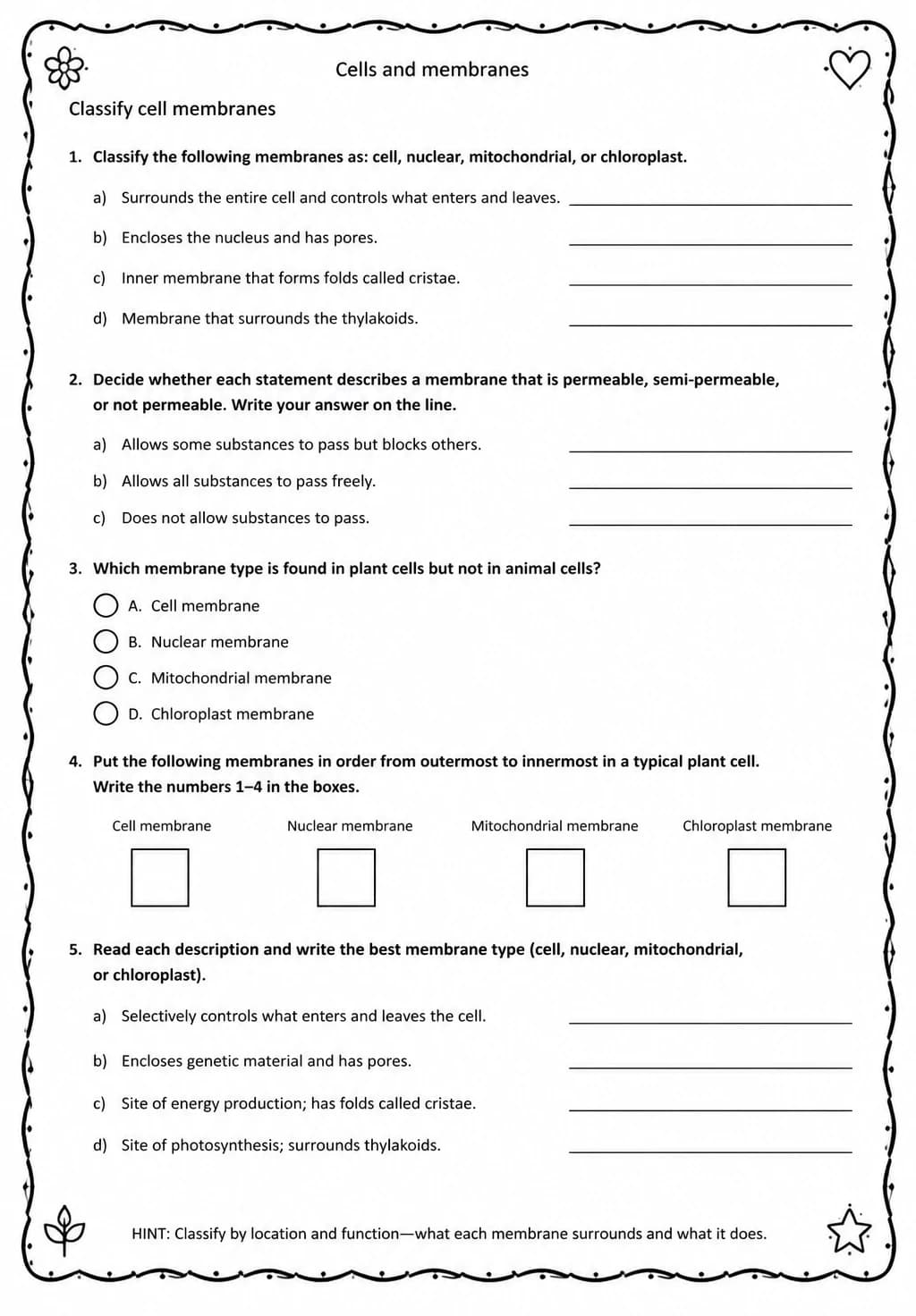Classify cell membranes — free printable High School Science worksheet