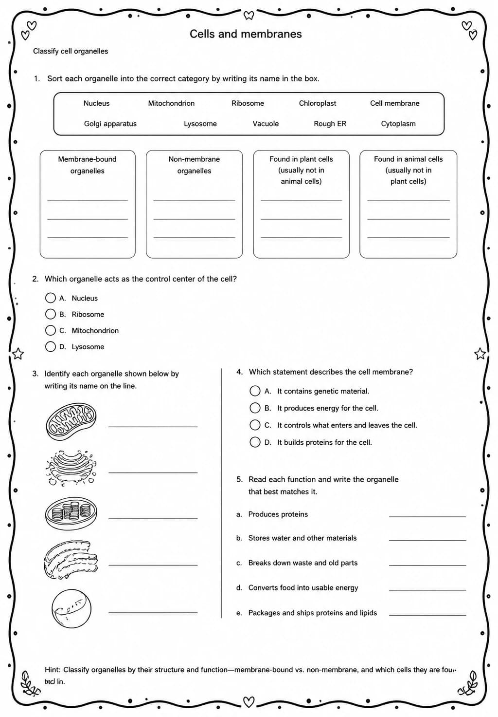 Classify cell organelles — free printable High School Science worksheet