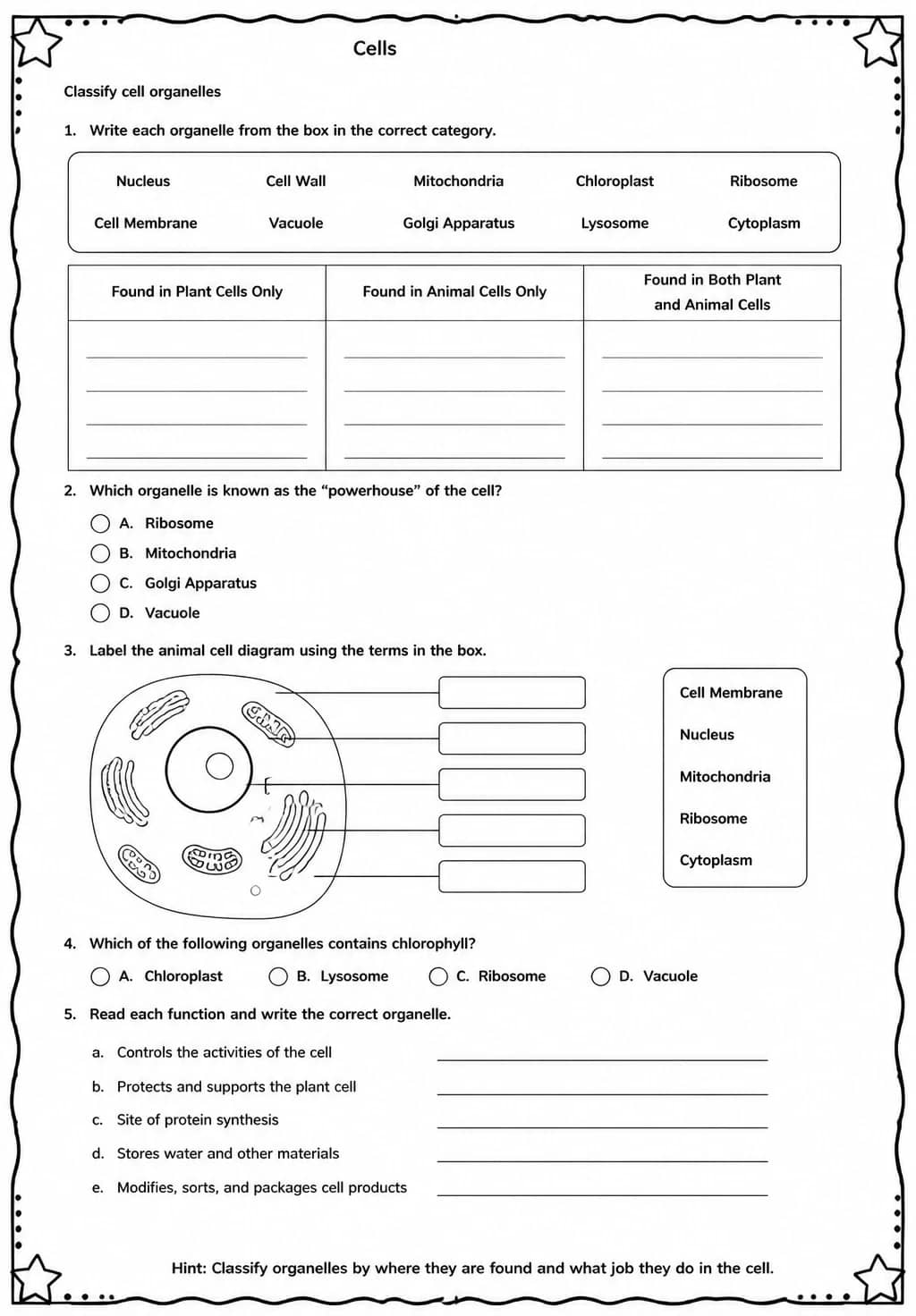 Classify cell organelles — free printable Middle School Science worksheet