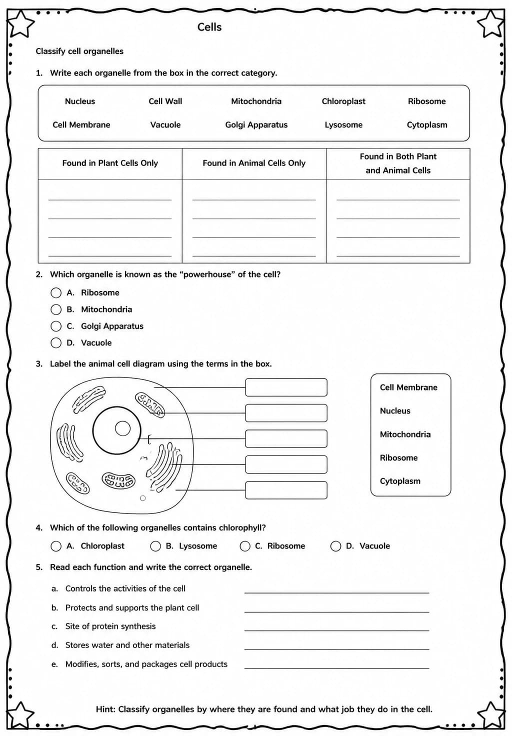 Classify cell organelles — free printable Middle School Science worksheet