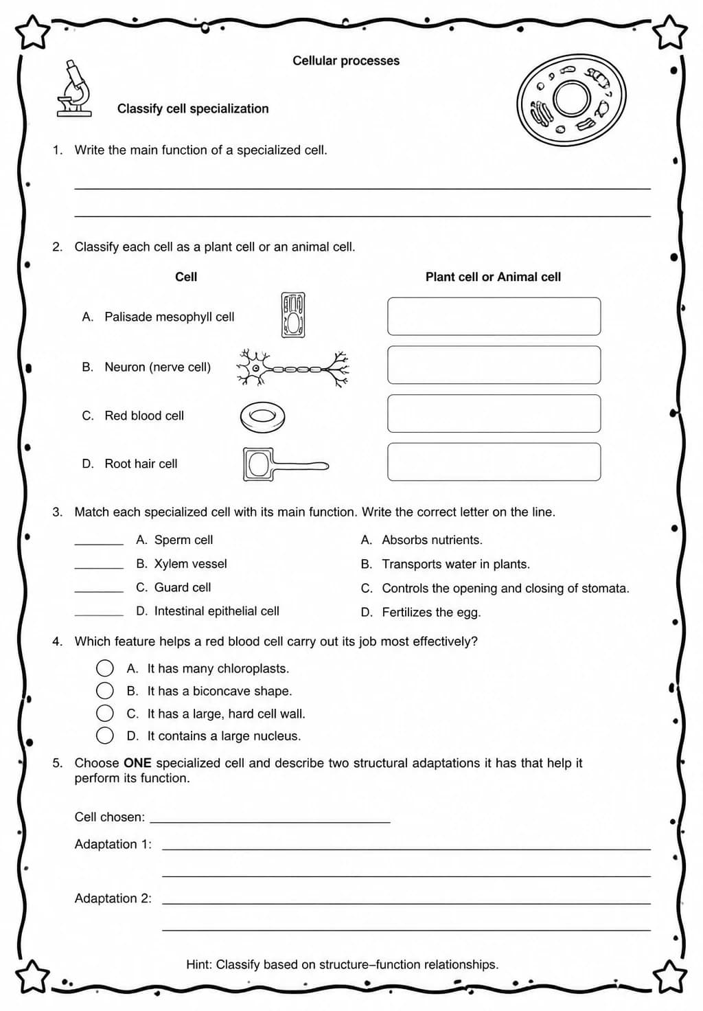 Classify cell specialization — free printable Middle School Science worksheet