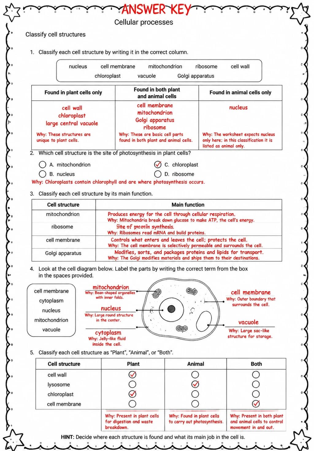 Answer key for Classify cell structures — free printable Science worksheet