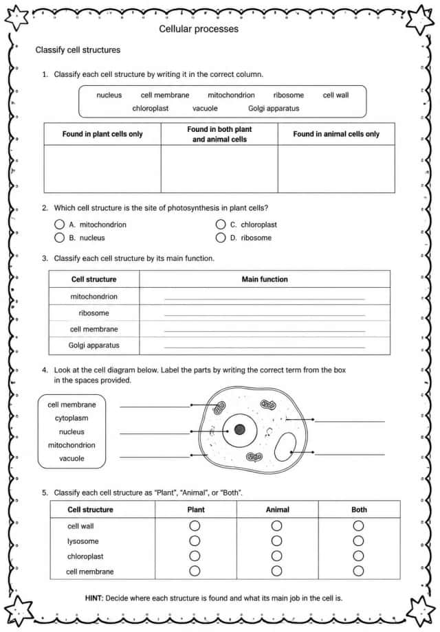 Classify cell structures