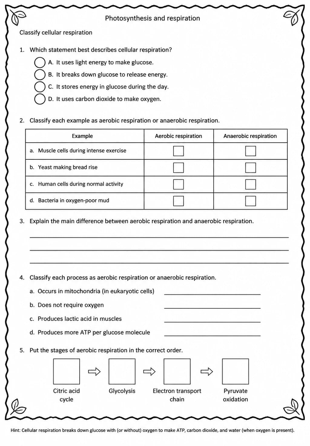 Classify cellular respiration — free printable High School Science worksheet