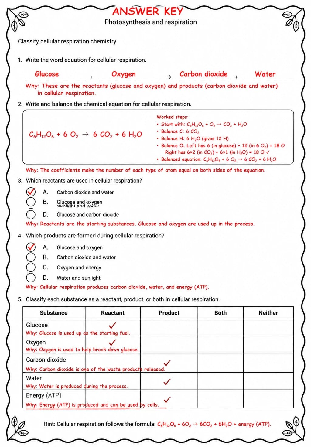 Answer key for Classify cellular respiration chemistry — free printable Science worksheet