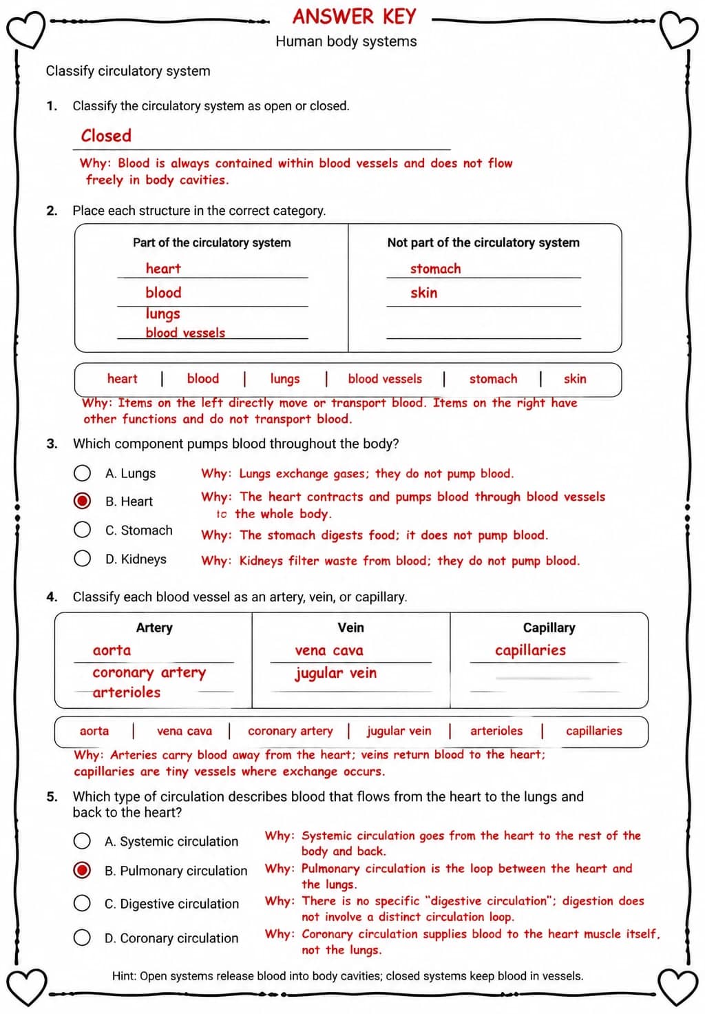 Answer key for Classify circulatory system — free printable Science worksheet