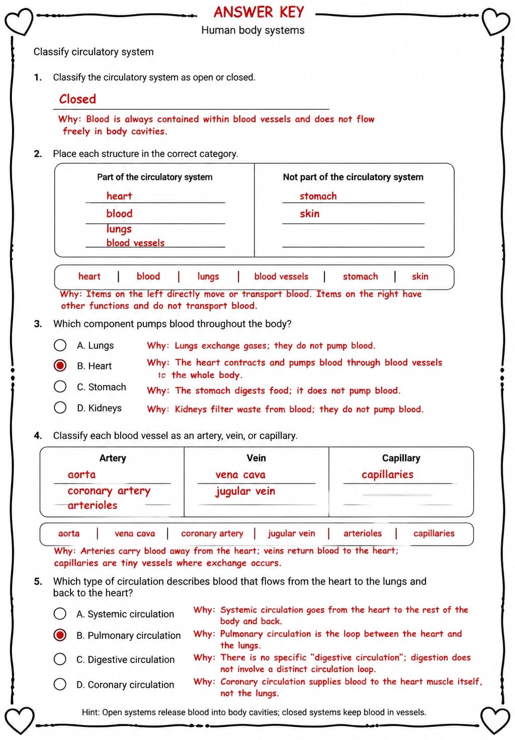 Answer key for Classify circulatory system — free printable Science worksheet