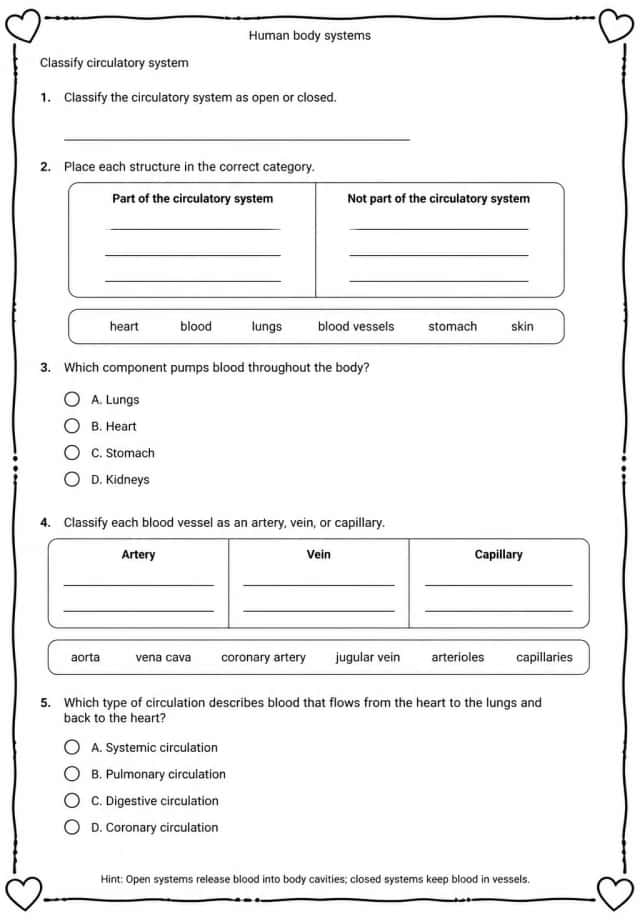 Classify circulatory system