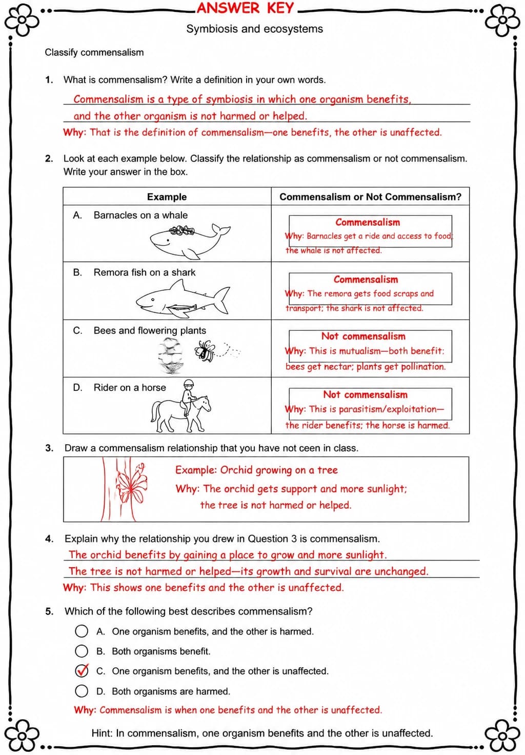 Answer key for Classify commensalism — free printable Science worksheet