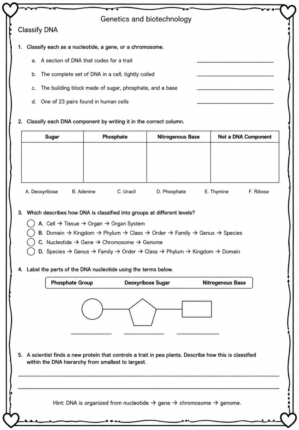 Classify DNA — free printable Middle School Science worksheet