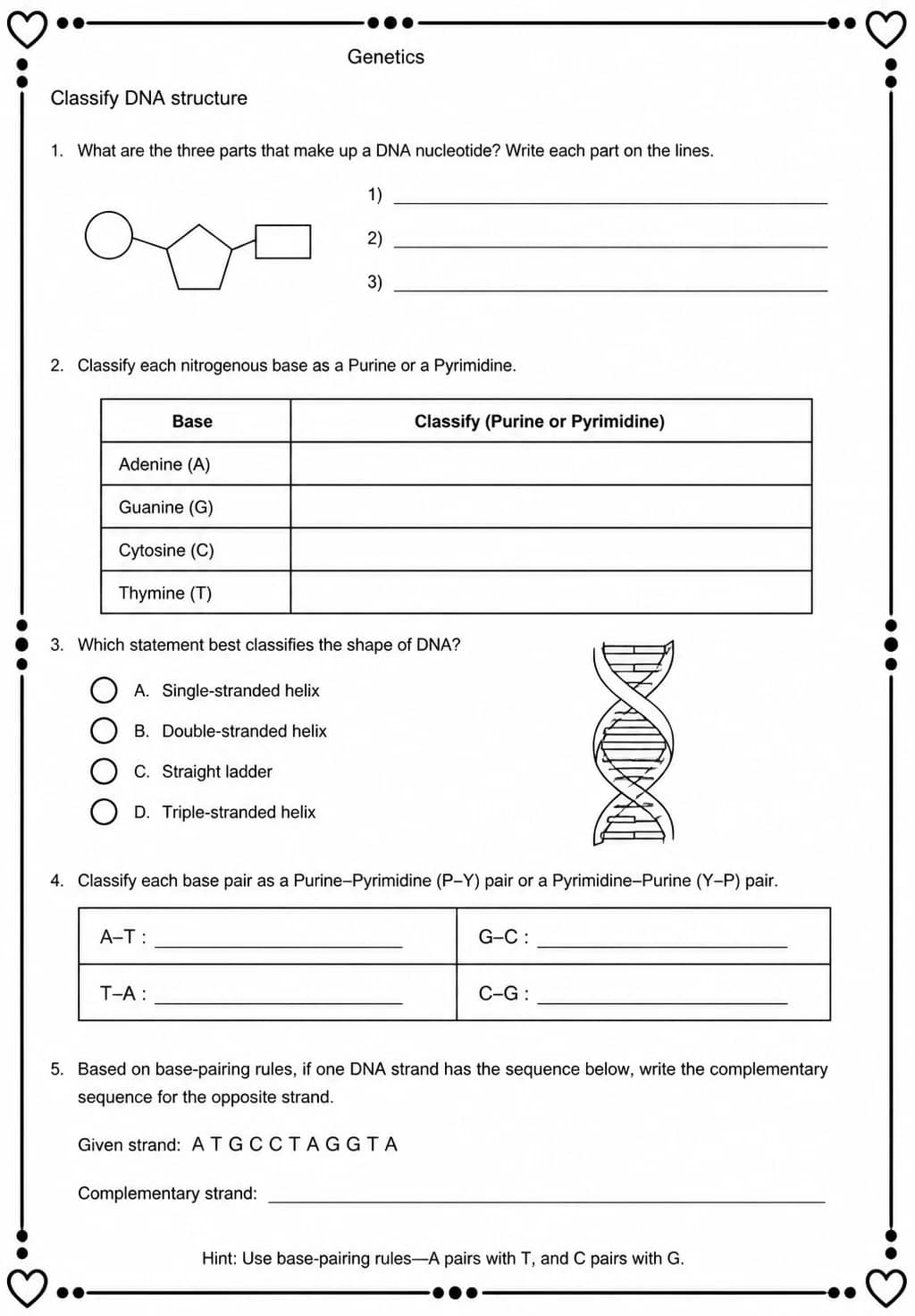 Classify DNA structure — free printable High School Science worksheet