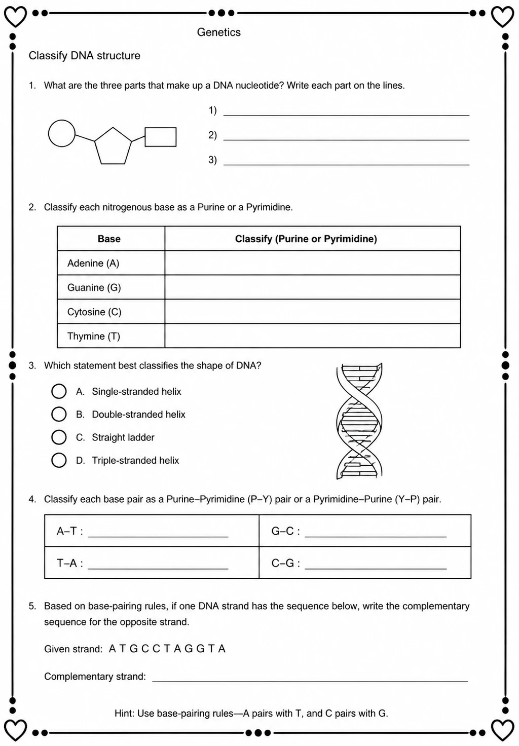 Classify DNA structure — free printable High School Science worksheet