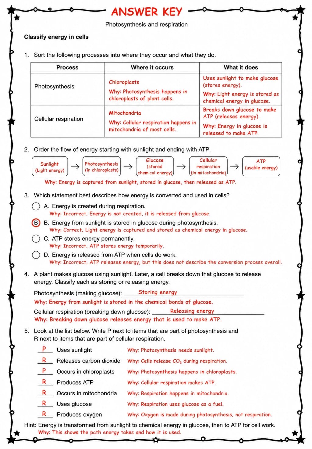 Answer key for Classify energy in cells — free printable Science worksheet