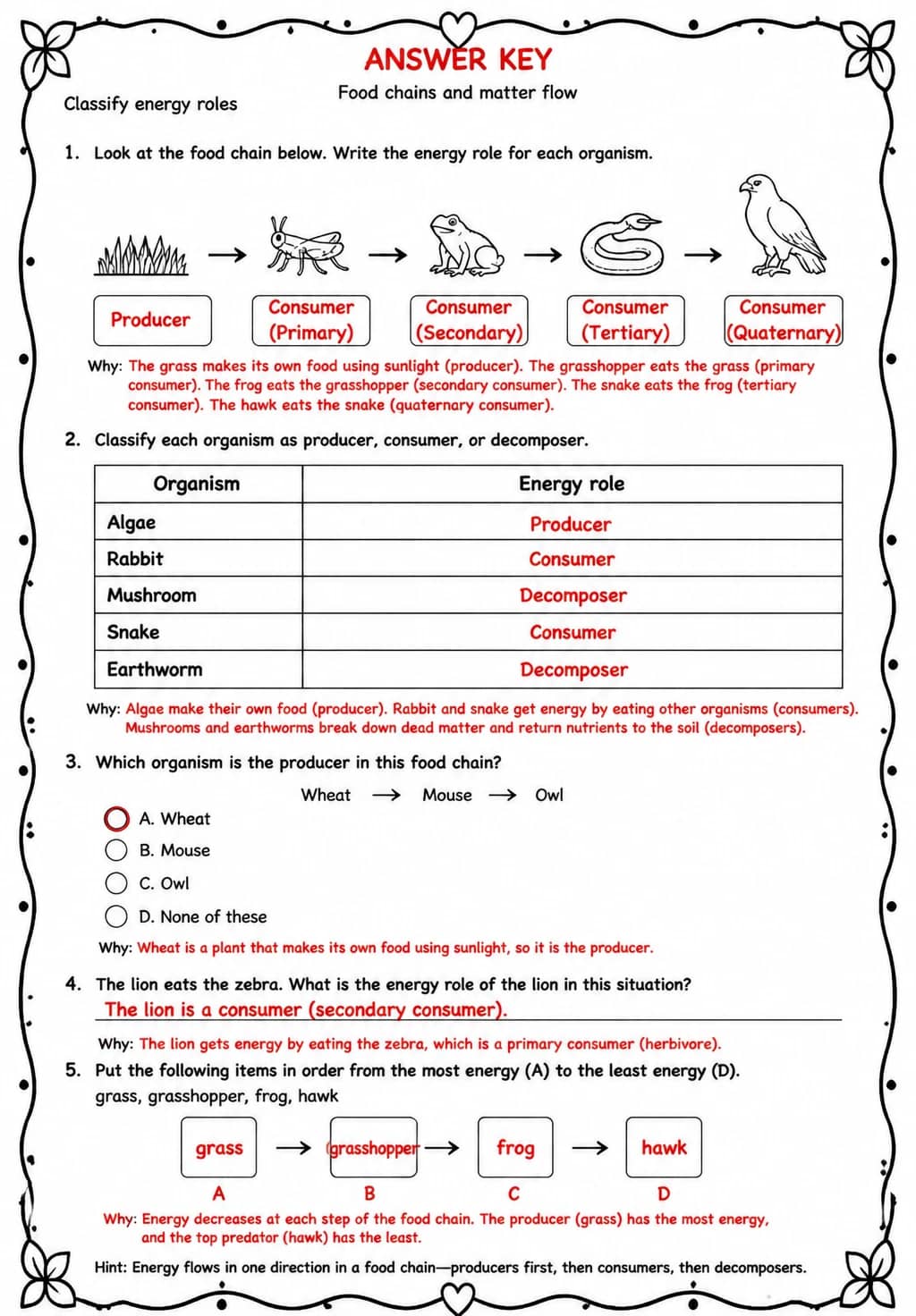 Answer key for Classify energy roles — free printable Science worksheet