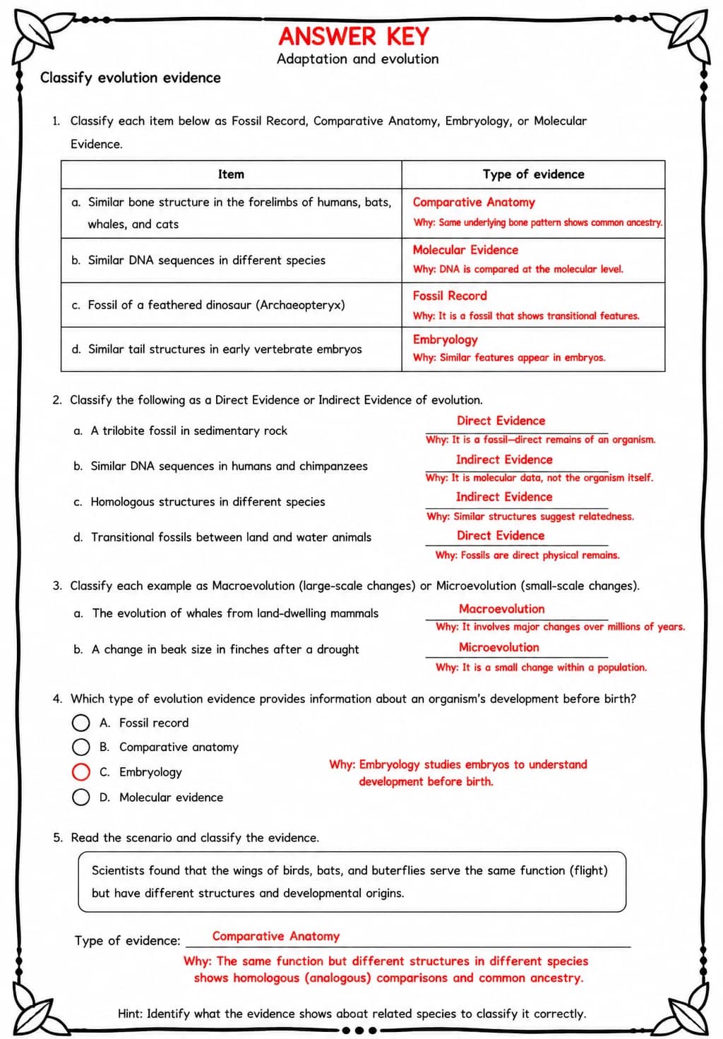 Answer key for Classify evolution evidence — free printable Science worksheet