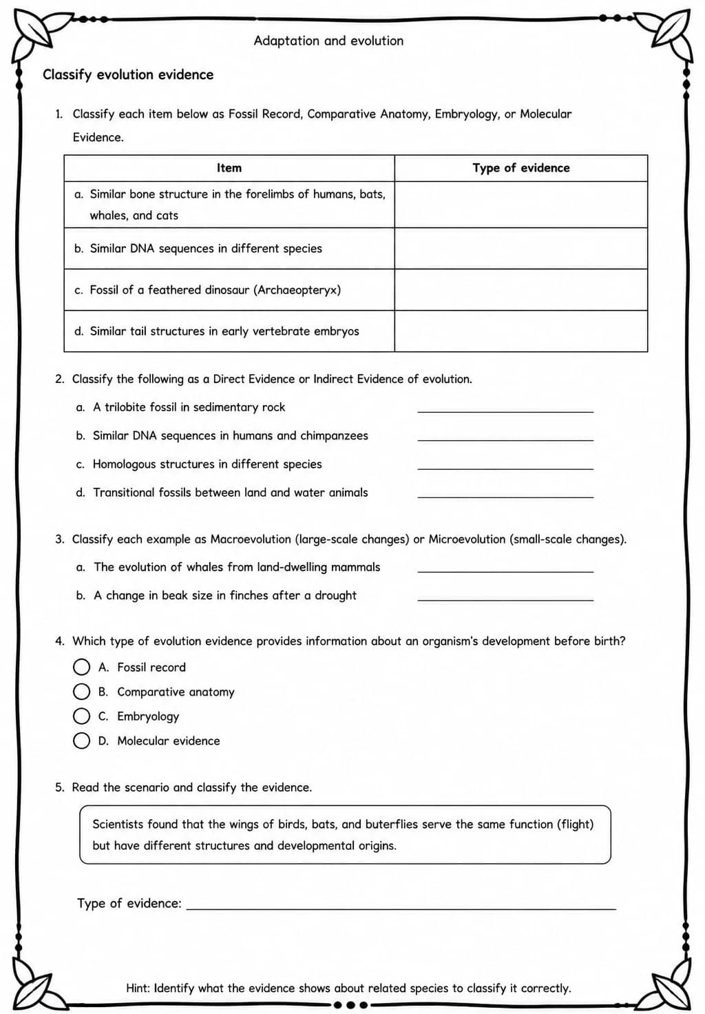 Classify evolution evidence — free printable Middle School Science worksheet