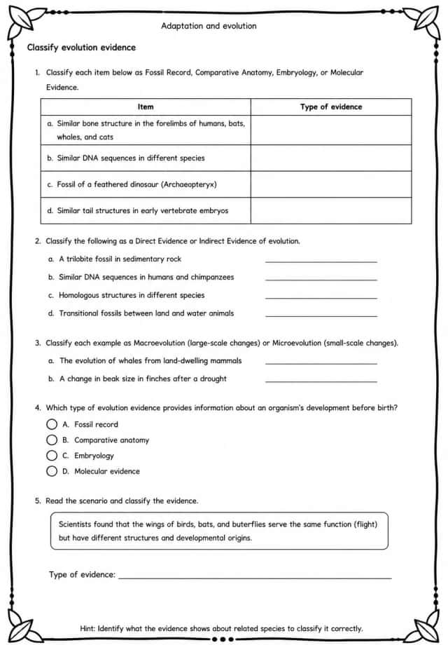 Classify evolution evidence