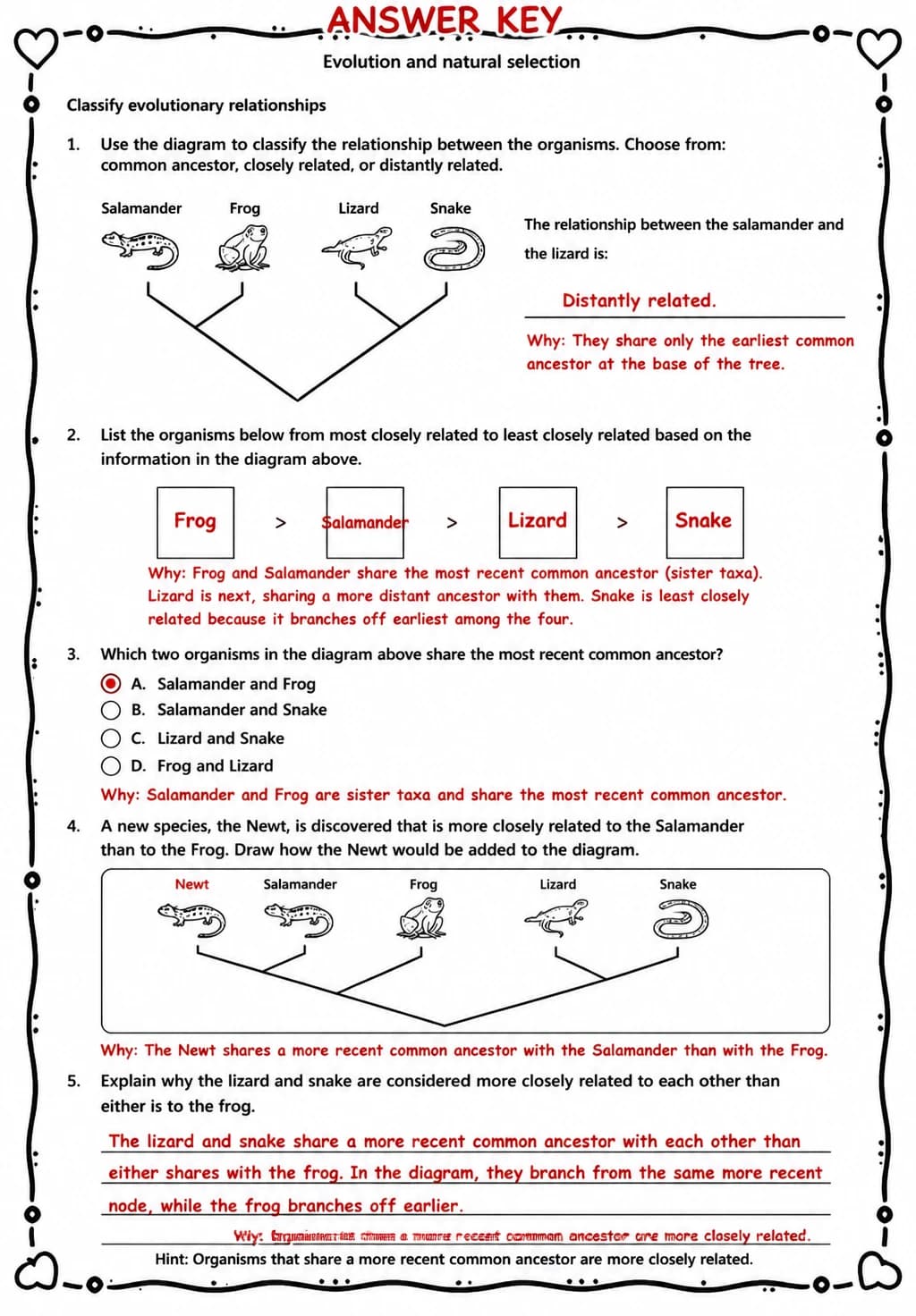Answer key for Classify evolutionary relationships — free printable Science worksheet