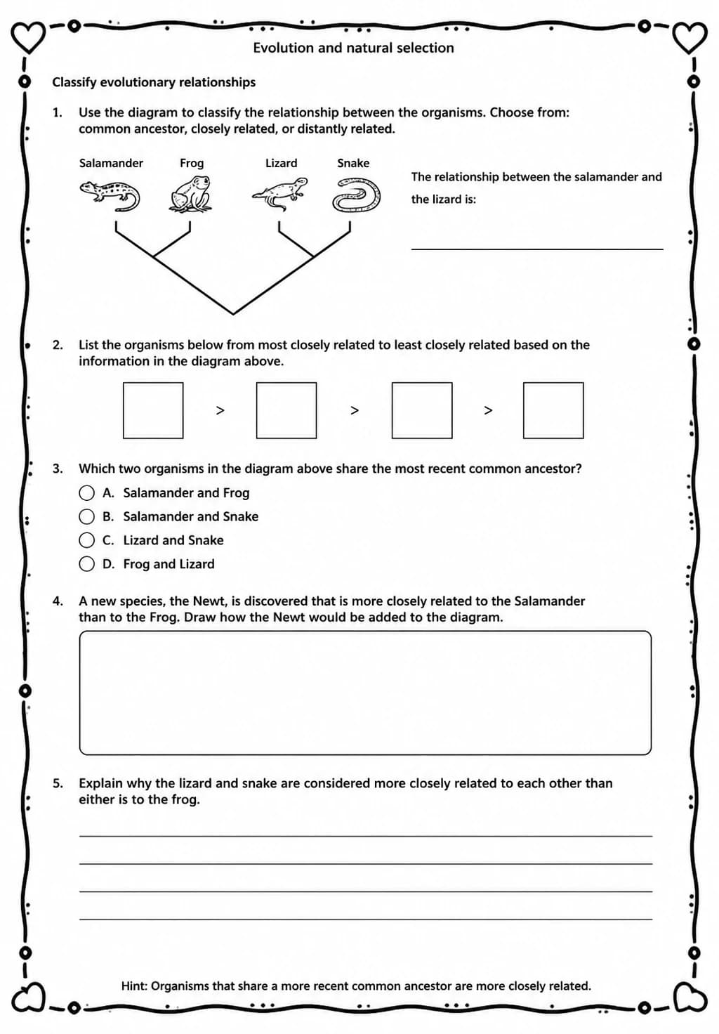 Classify evolutionary relationships — free printable Middle School Science worksheet