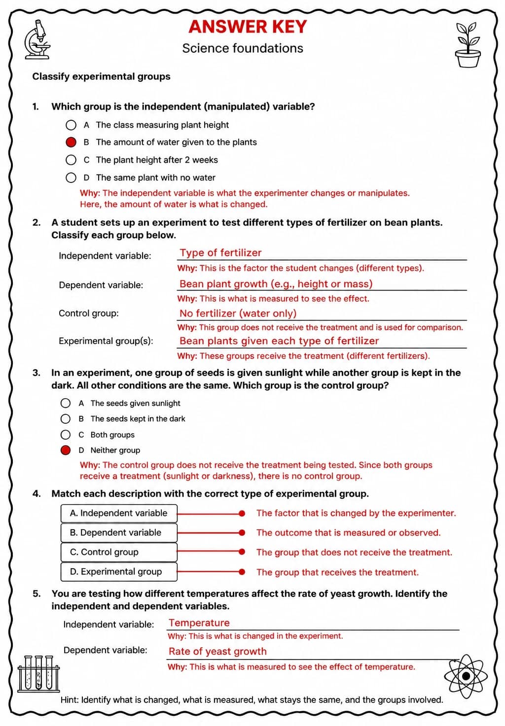Answer key for Classify experimental groups — free printable Science worksheet