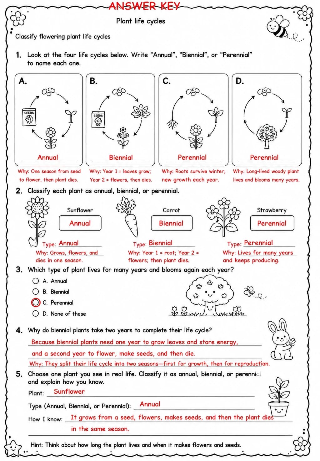 Answer key for Classify flowering plant life cycles — free printable Science worksheet