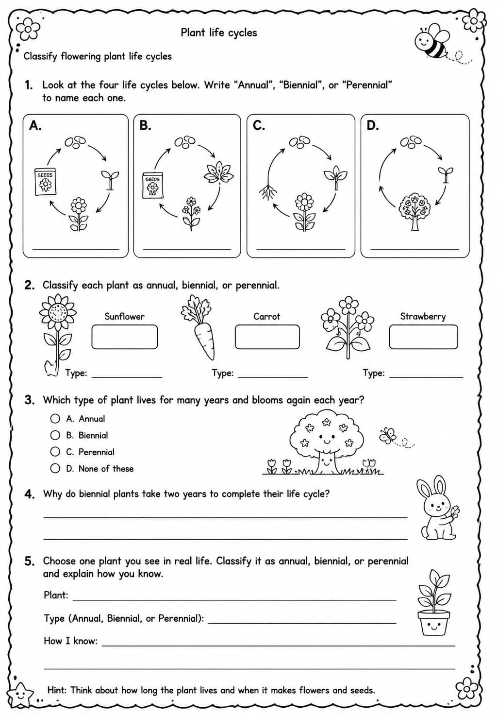 Classify flowering plant life cycles — free printable Grade 4 Science worksheet