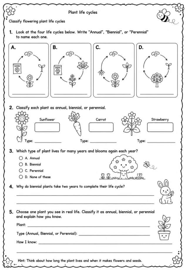 Classify flowering plant life cycles