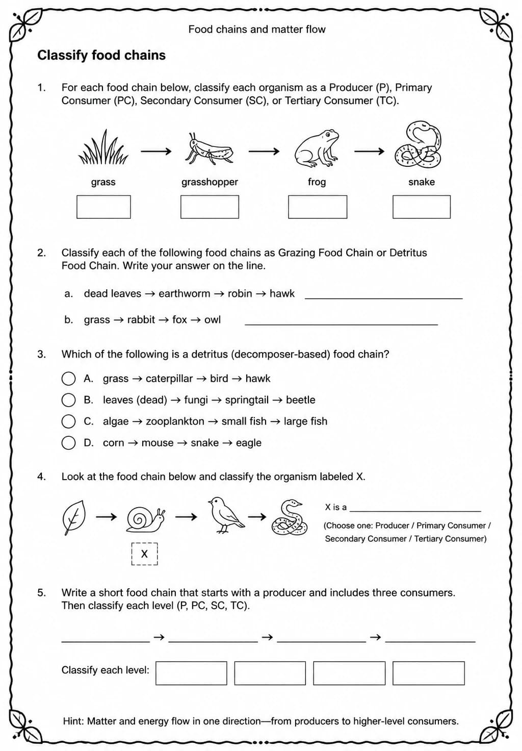Classify food chains — free printable Grade 5 Science worksheet