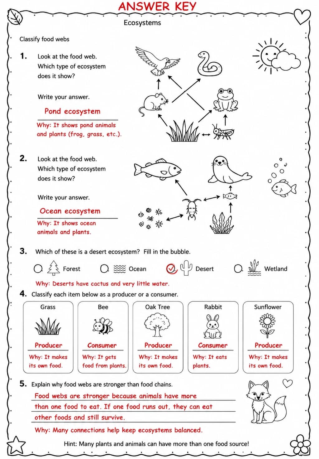 Answer key for Classify food webs — free printable Science worksheet